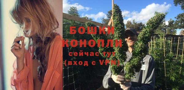 ГАЛЛЮЦИНОГЕННЫЕ ГРИБЫ Вяземский