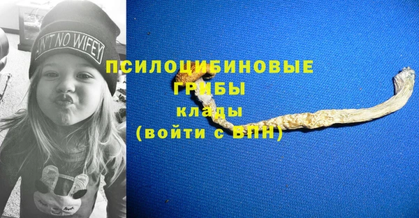 ГАЛЛЮЦИНОГЕННЫЕ ГРИБЫ Вяземский