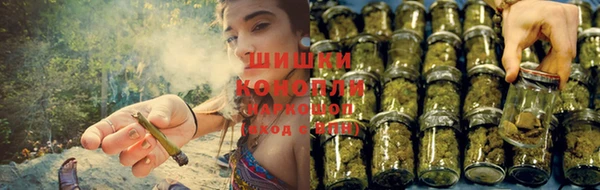 ГАЛЛЮЦИНОГЕННЫЕ ГРИБЫ Вяземский