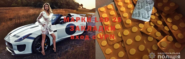 ГАЛЛЮЦИНОГЕННЫЕ ГРИБЫ Вяземский