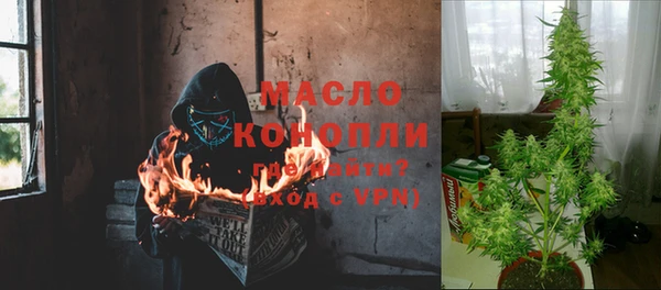 ГАЛЛЮЦИНОГЕННЫЕ ГРИБЫ Вяземский