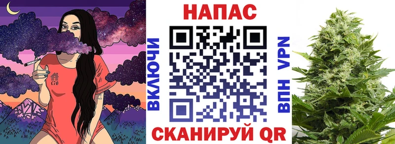 Шишки марихуана конопля  наркота  Ростов-на-Дону 